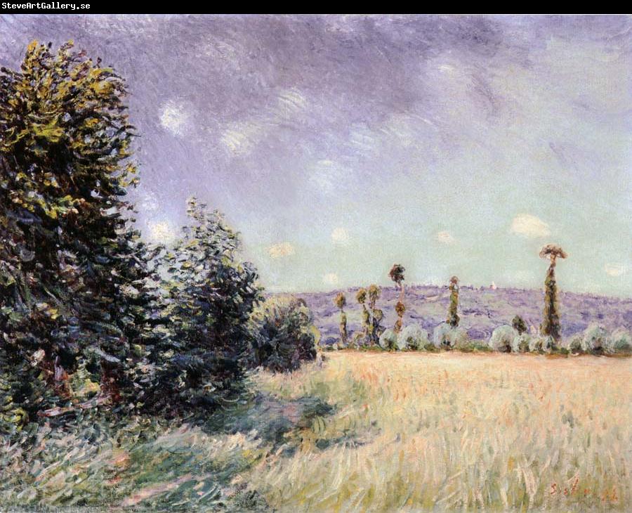 Alfred Sisley Sahurs Meadows in the Morning Sun